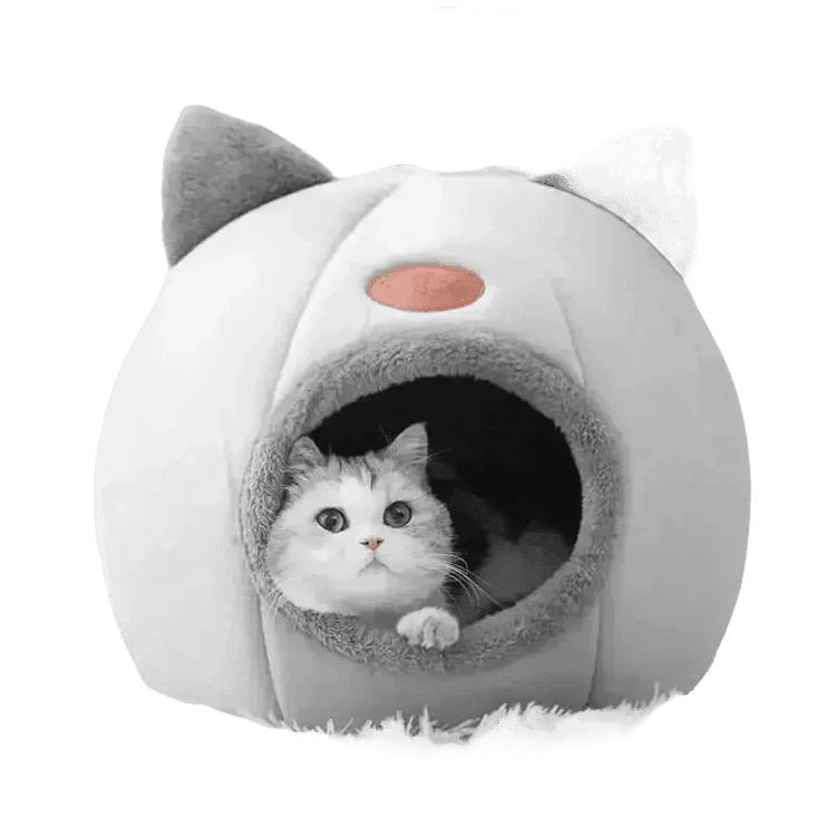 Cat in Gray Cat Bed Myliketpets Shop Small Pet Basket - GiFTiFY