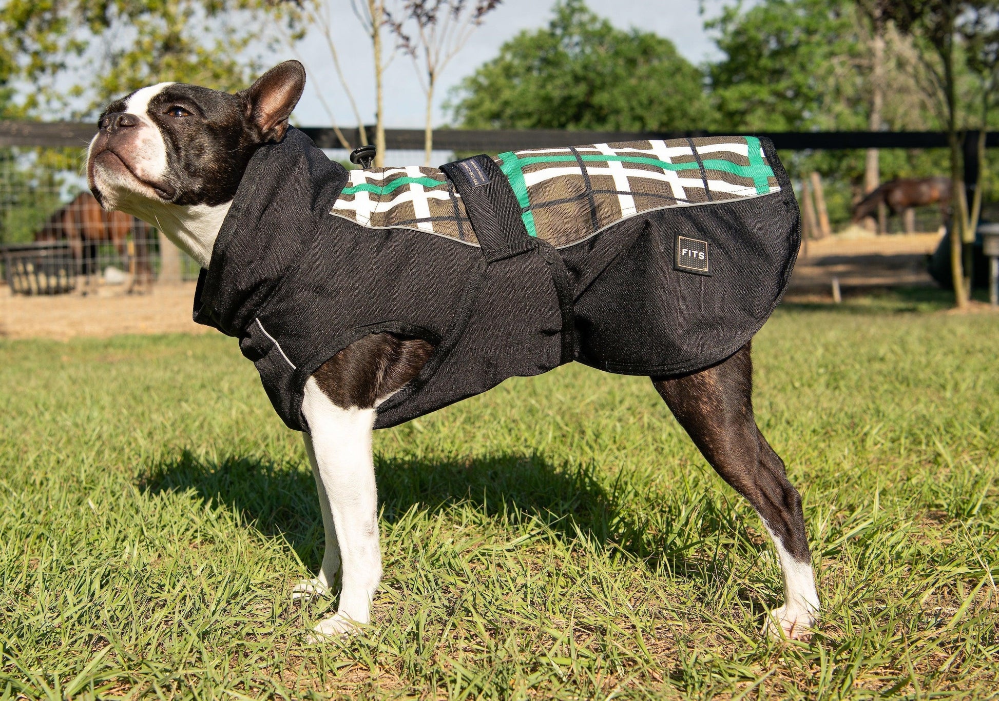 All Weather Dog Coat FITS Riding
