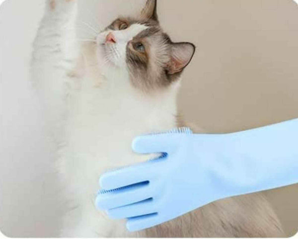 Pet Grooming Silicone Rubber Scrubber Cleaning Blue Color 2 in 1 - GiFTiFY