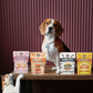 Human-Grade Freeze Dried Dog Treats/ Cat Treats |100% Salmon | Bussin’ Bites Jammin’ Salmon