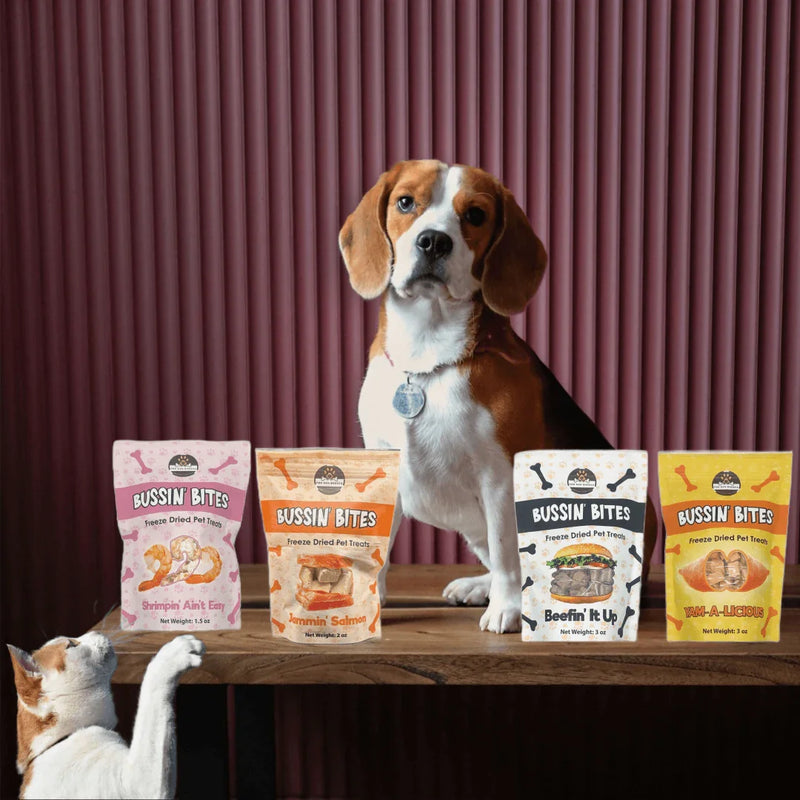 Human-Grade Freeze Dried Dog Treats/ Cat Treats |100% Salmon | Bussin’ Bites Jammin’ Salmon Dog Treats/ Cat Treats by The Dog Bodega