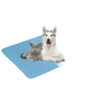 Dog Cooling Mat for Cats and Furry Friends - GiFTiFY