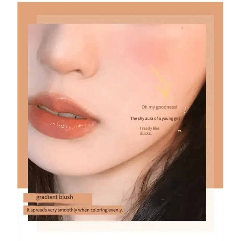 Dual Gradient Blush Highlights Natural Nude Makeup Brightening Cheek Purple Blue Female Niche Brand 2024 New Makeup by Dropshee