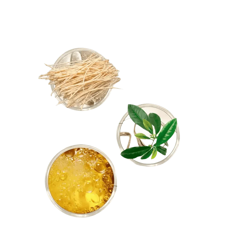 Eelhoe Sunscreen Setting Powder with Brush Breathable Finish - GiFTiFY