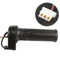Electric Bicycle Twist-Throttle Grip