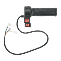 Electric Bicycle Twist-Throttle Grip