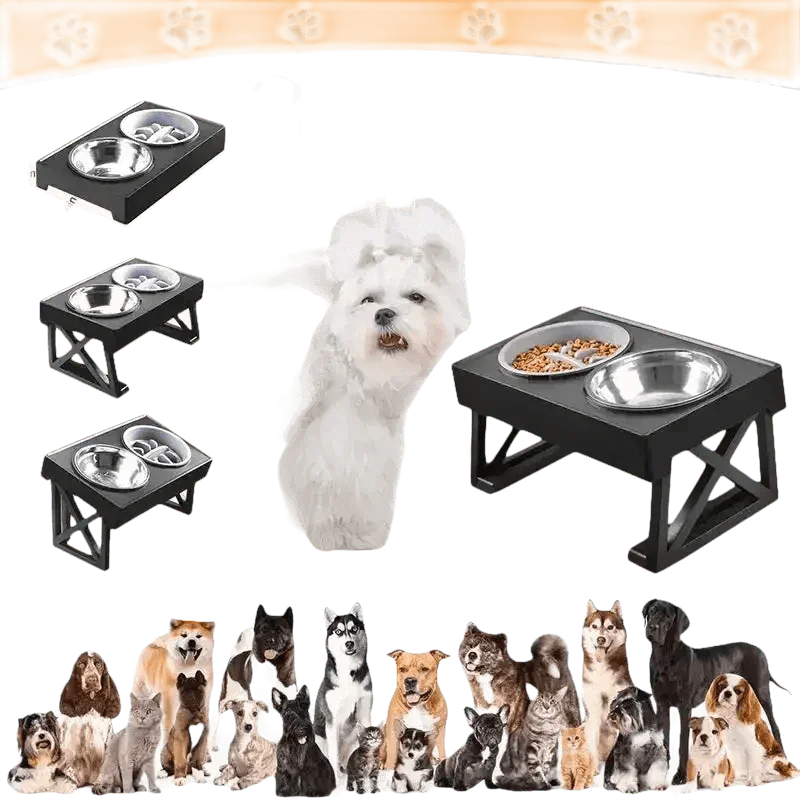 Elevated Bowls Stand for Pets Adjustable Height Dog Elevated Bowls Double Elevated Bowls Stand - GiFTiFY
