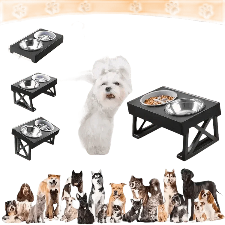 Elevated Bowls Stand for Pets Adjustable Height Dog Elevated Bowls Double Elevated Bowls Stand - GiFTiFY