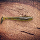 Minutemen Fish or Die Bait Company