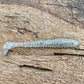 Minutemen Fish or Die Bait Company
