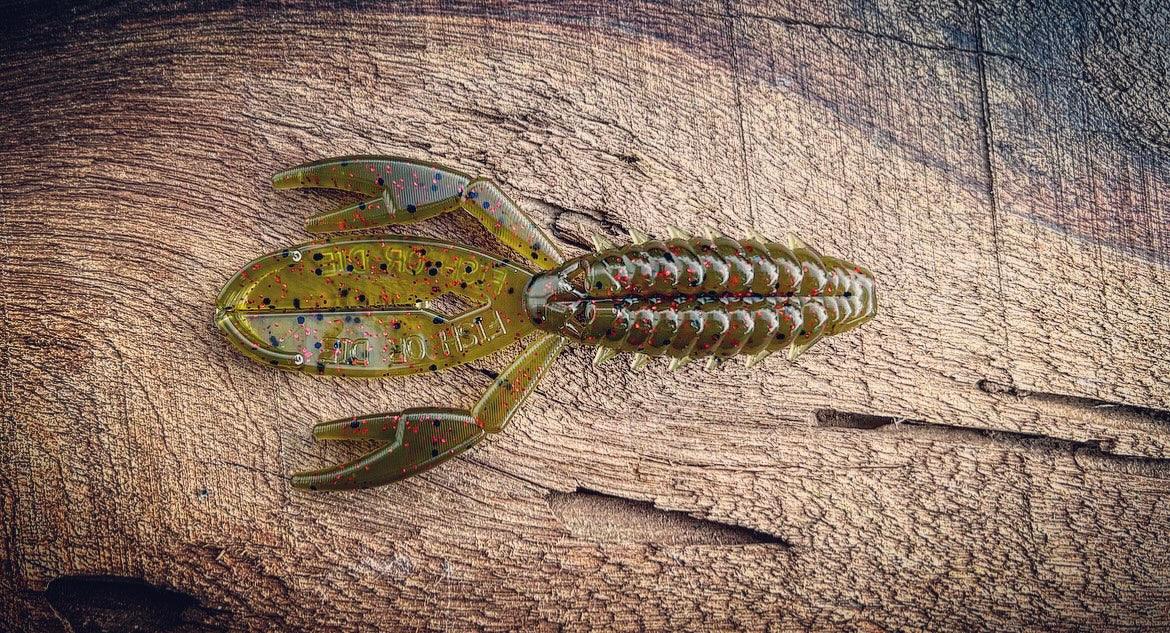 The Sherman Fish or Die Bait Company