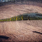 Warbird Fish or Die Bait Company
