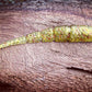 Warbird Fish or Die Bait Company