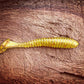 Minutemen Fish or Die Bait Company