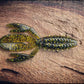 The Sherman Fish or Die Bait Company