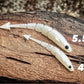Warbird Fish or Die Bait Company
