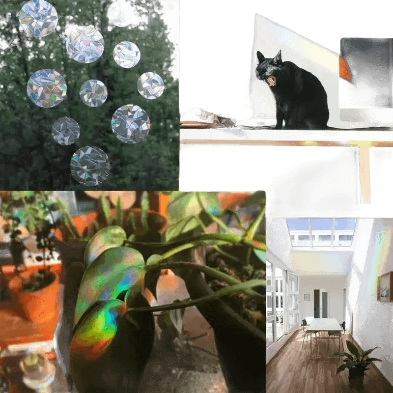 Iridescent Butterfly Sun Catcher Window Stickers - GiFTiFY