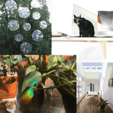 Iridescent Butterfly Sun Catcher Window Stickers - GiFTiFY