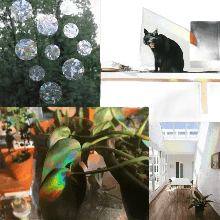 Iridescent Butterfly Sun Catcher Window Stickers - GiFTiFY