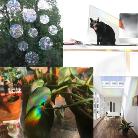 Prismatic rainbow light effects.