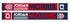 USMNT Jordan Morris Scarf