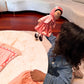 The Lala Doll + 4 Outfits + Prayer Rug | My First Hijabi, Muslim Doll Lala + Mo