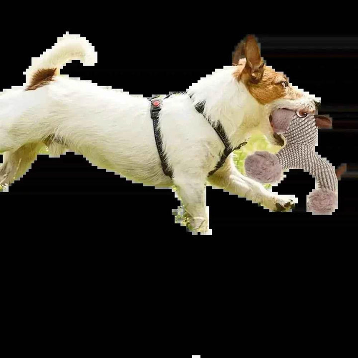 Large Dog Squeaky Toys Stuffed Animal Dog Plush Toy Dog Interactive Toy - Plush Dogs Chew Toy Stimulating Squeaky Pet Toys For Medium Large Dogs Puppy - GiFTiFY