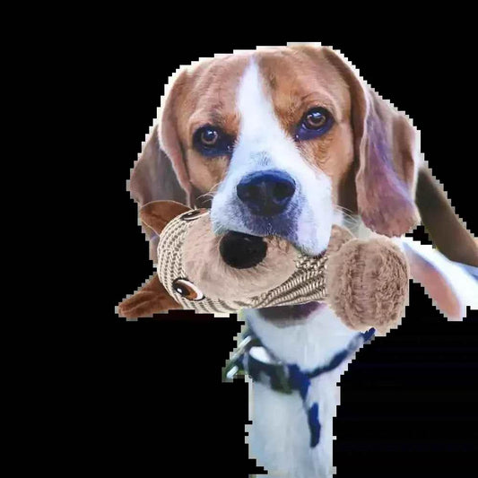 Large Dog Squeaky Toys Stuffed Animal Dog Plush Toy Dog Interactive Toy - Plush Dogs Chew Toy Stimulating Squeaky Pet Toys For Medium Large Dogs Puppy - GiFTiFY