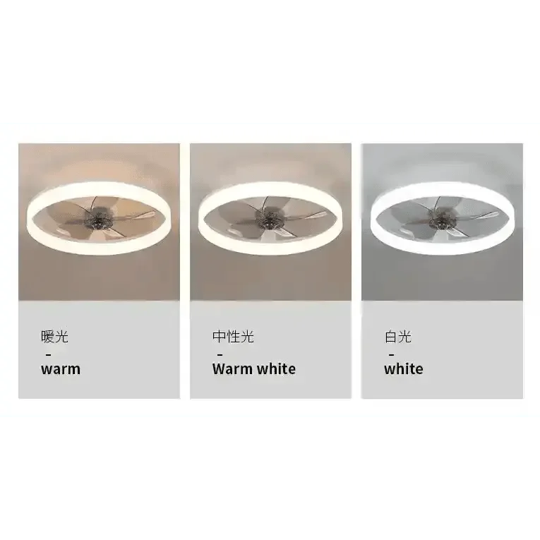LED Ceiling Fan with Remote Control Chandelier by DSERS