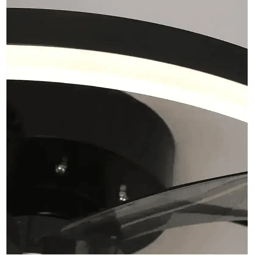 LED Ceiling Fan with Remote Control Chandelier by DSERS