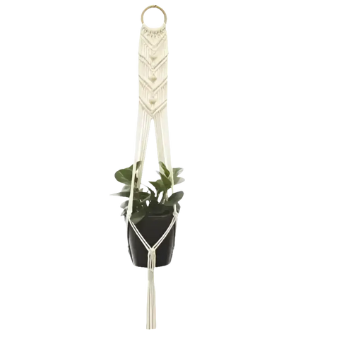 Macrame plant hanger with plant.