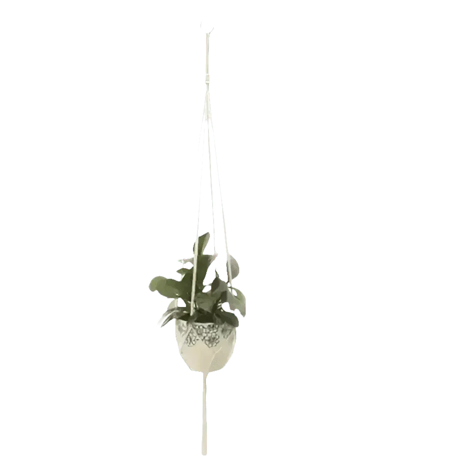 Macrame Plant Shelves with Plants Gardening Macrame Plant Hangers - GiFTiFY