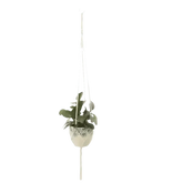 Macrame Plant Shelves with Plants Gardening Macrame Plant Hangers - GiFTiFY