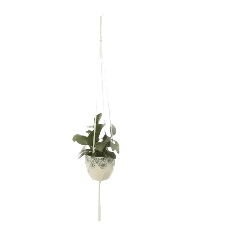 Macrame Plant Shelves with Plants Gardening Macrame Plant Hangers - GiFTiFY