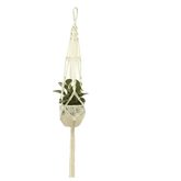 Macrame Plant Shelves with Plants Gardening Macrame Plant Hangers - GiFTiFY