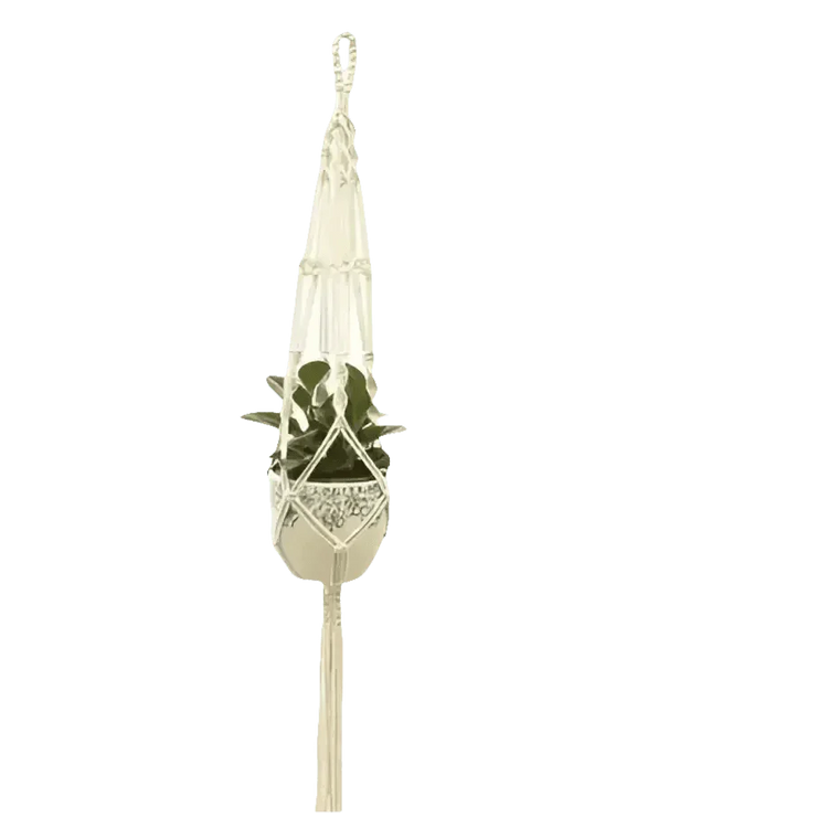 Macrame Plant Shelves with Plants Gardening Macrame Plant Hangers - GiFTiFY