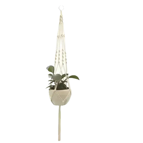 Macrame plant hanger with plant.