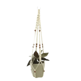 Macrame Plant Shelves with Plants Gardening Macrame Plant Hangers - GiFTiFY