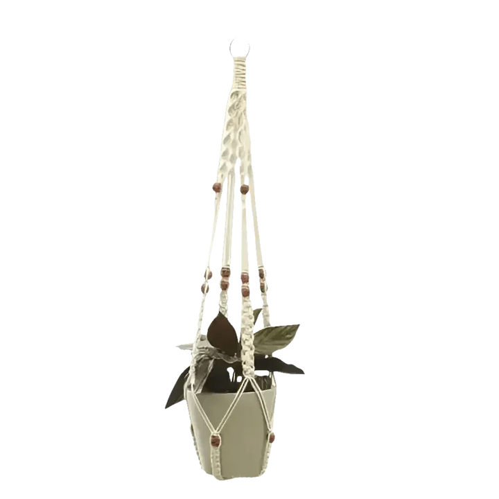 Macrame Plant Shelves with Plants Gardening Macrame Plant Hangers - GiFTiFY