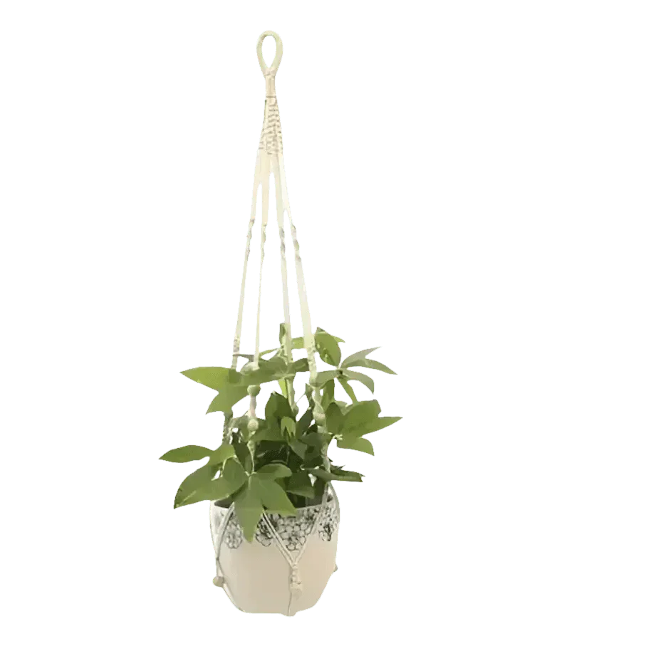 Macrame Plant Shelves with Plants Gardening Macrame Plant Hangers - GiFTiFY
