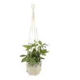 Macrame Plant Shelves with Plants Gardening Macrame Plant Hangers - GiFTiFY