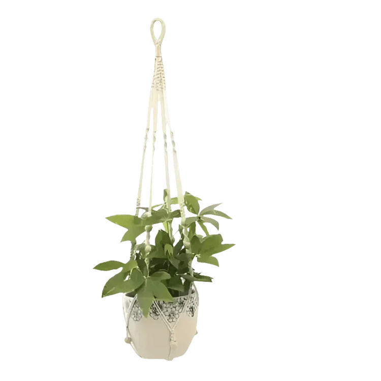Macrame Plant Shelves with Plants Gardening Macrame Plant Hangers - GiFTiFY