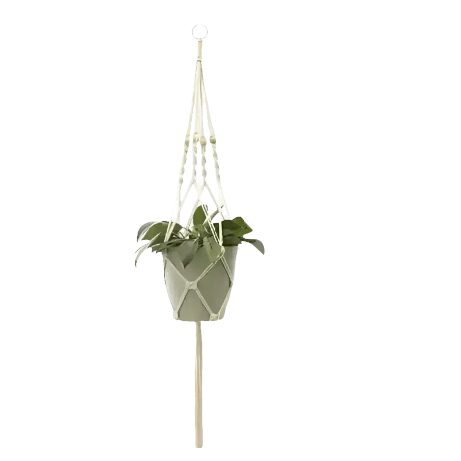 Macrame Plant Shelves with Plants Gardening Macrame Plant Hangers - GiFTiFY