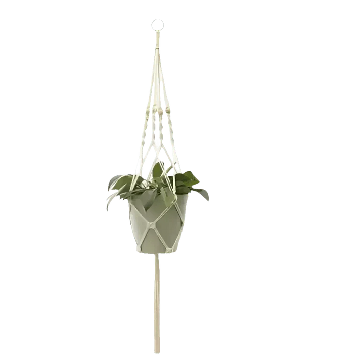 Macrame Plant Shelves with Plants Gardening Macrame Plant Hangers - GiFTiFY
