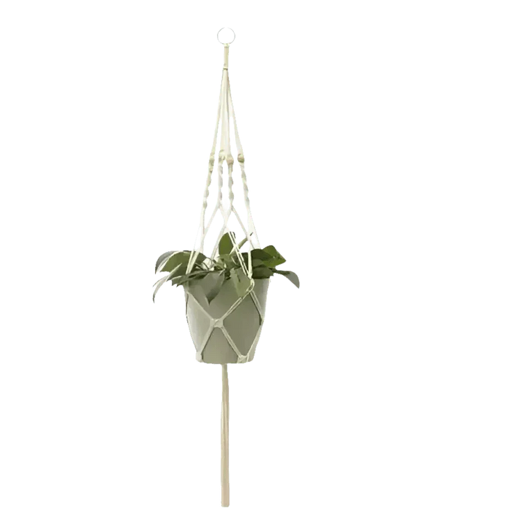 Macrame Plant Shelves with Plants Gardening Macrame Plant Hangers - GiFTiFY