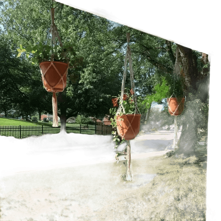 Macrame Plant Shelves with Plants Gardening Macrame Plant Hangers - GiFTiFY