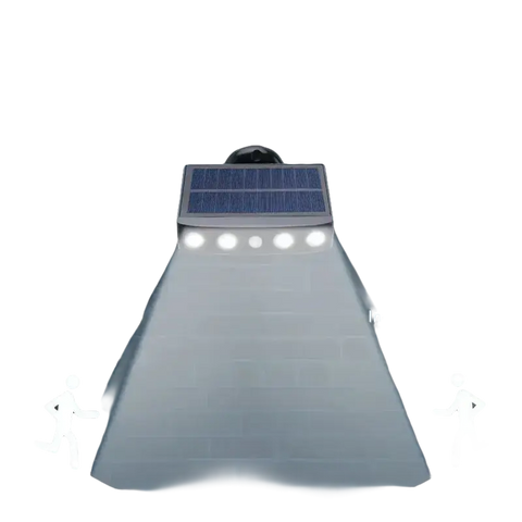 Solar-powered motion sensor light.