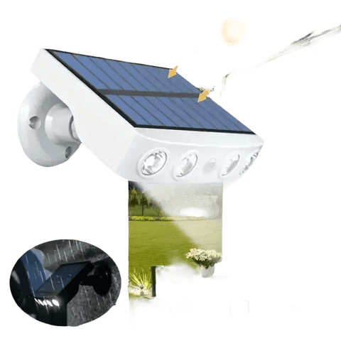 Solar-powered, motion-sensing outdoor light.