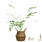 Palm Plant Table Lamp Home Garden Party Decor - GiFTiFY