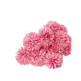 Pink and White Silk Kiku Flowers Bouquet - GiFTiFY